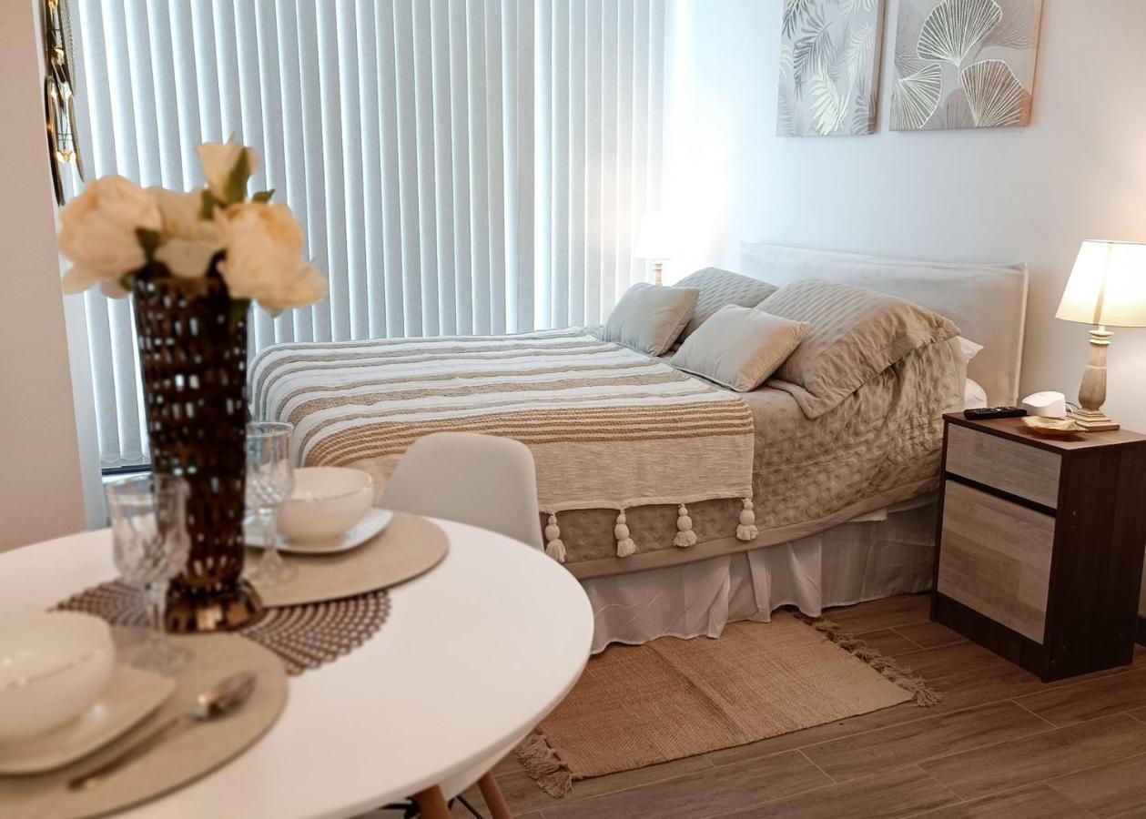 Apartamento Frente Al Mall Depto Tipo Estudio En Mejor Zona Servicio Hom 0817 *